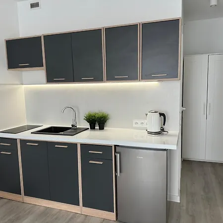 דירה Apartament Katowicka פוזנן