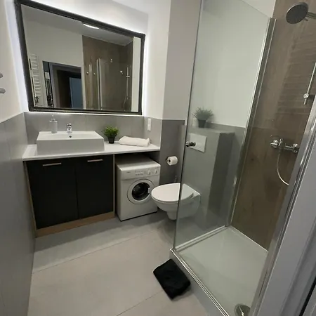 Apartament Katowicka * פוזנן