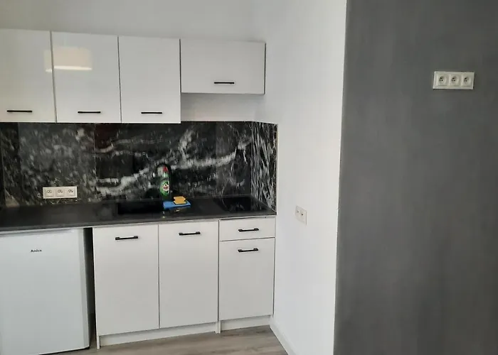 Apartament Katowicka Poznań