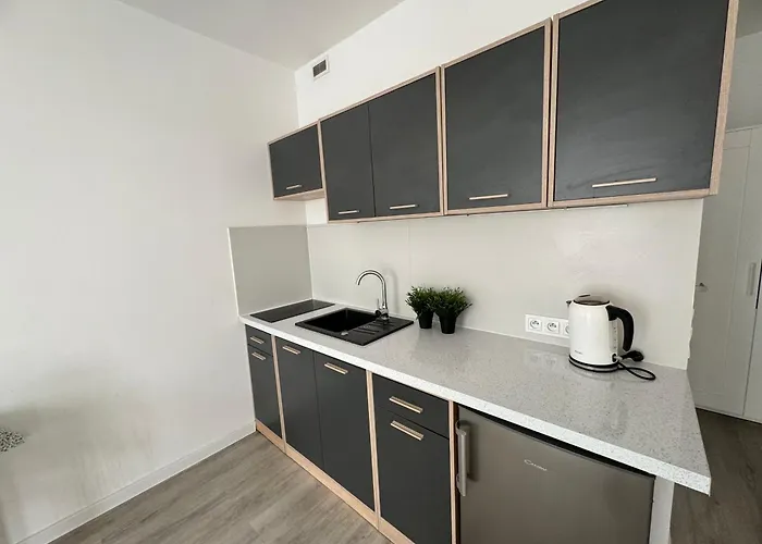 Apartament Katowicka Апартаменты *