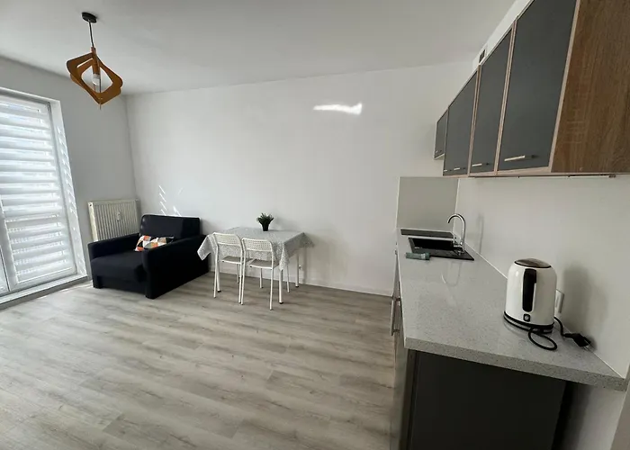 Apartament Katowicka Апартаменты Познань